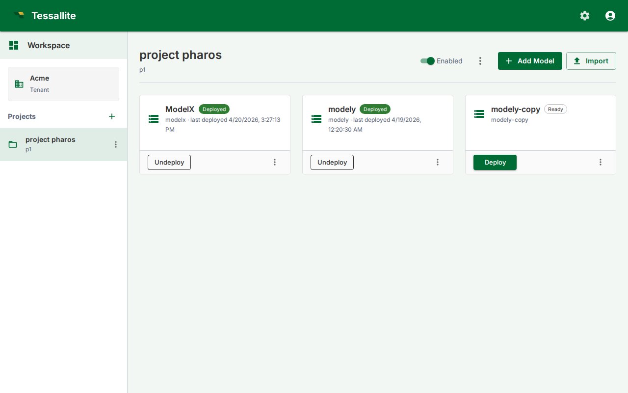 Two model cards in the project Explorer — one Deployed with an Undeploy button, one Ready with a Deploy button.